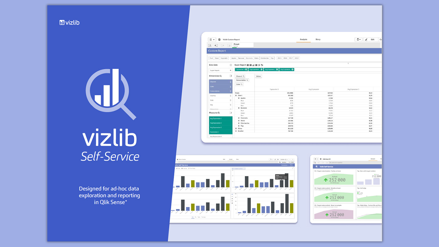 vizlib selfservice catalogue