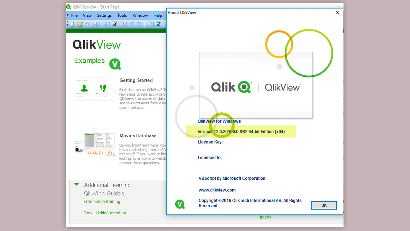 Qlik View version