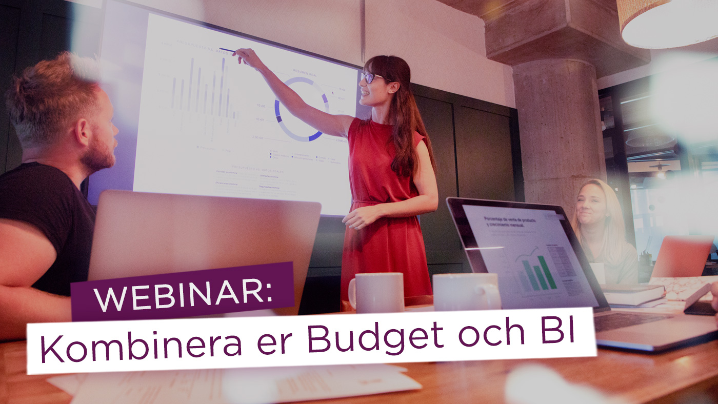 Climber Planacy Webinar Budget och BI