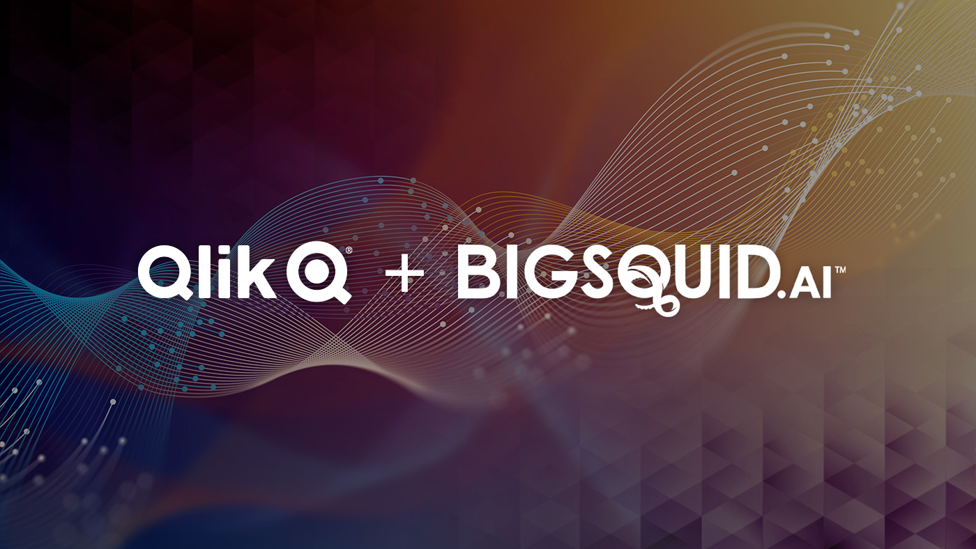 Qlik & Big Squid