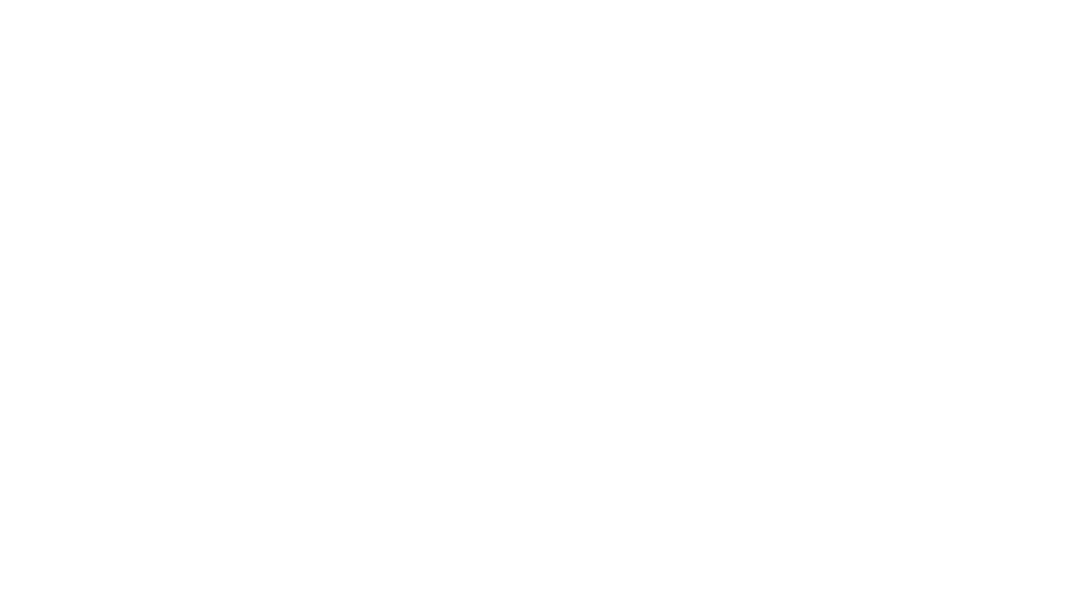 Climber Partner Qlik Logo White